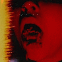 Witch Fever : Dead to Me!